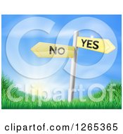 Poster, Art Print Of Yes And No Street Signs Over Grass At Sunrise