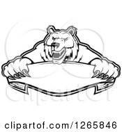 Poster, Art Print Of Black And White Bear Holding A Blank Ribbon Banner