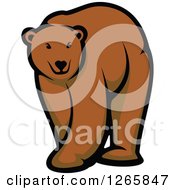 Poster, Art Print Of Brown Bear