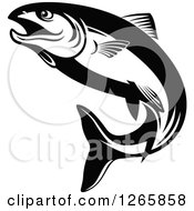 Clipart Of A Black And White Salmon Fish Royalty Free Vector Illustration