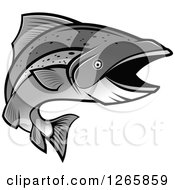 Poster, Art Print Of Grayscale Salmon Fish