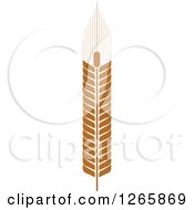 Clipart Of A Strand Of Wheat Royalty Free Vector Illustration