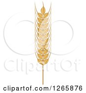 Poster, Art Print Of Strand Of Wheat