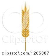 Clipart Of A Strand Of Wheat Royalty Free Vector Illustration