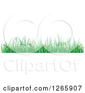 Clipart Of A Green Grass Border Royalty Free Vector Illustration by Vector Tradition SM