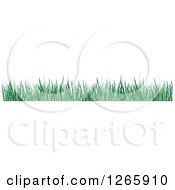 Clipart Of A Green Grass Border Royalty Free Vector Illustration