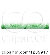 Clipart Of A Green Grass Border Royalty Free Vector Illustration