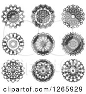 Clipart Of Grayscale Lace Circles Royalty Free Vector Illustration