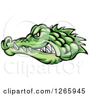 Poster, Art Print Of Aggressive Green Crocodile Face In Profile