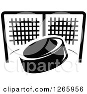 Poster, Art Print Of Black And White Hockey Puck And Net