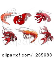 Clipart Of Shrimp And Lobsters Royalty Free Vector Illustration