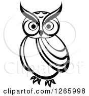 Poster, Art Print Of Black And White Owl