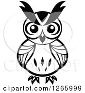 Poster, Art Print Of Black And White Owl