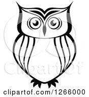 Poster, Art Print Of Black And White Owl