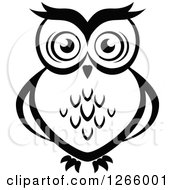 Poster, Art Print Of Black And White Owl