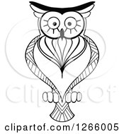 Poster, Art Print Of Black And White Owl