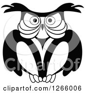 Poster, Art Print Of Black And White Owl