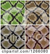 Clipart Of Backgrounds Of Snake Skins Royalty Free Vector Illustration