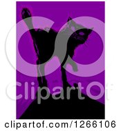 Poster, Art Print Of Black Cat And Shadow Over Purple