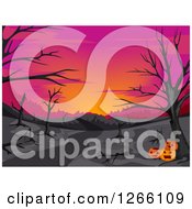 Poster, Art Print Of Pink Sunset With Bare Trees In The Woods And Halloween Jackolanterns