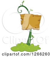 Poster, Art Print Of Wooden Sign On A Vine