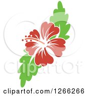 Poster, Art Print Of Red Hibiscus Flower And Green Leaves