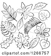 Clipart Of Black And White Leaves Royalty Free Vector Illustration