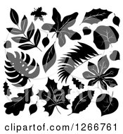 Poster, Art Print Of Black And White Leaves