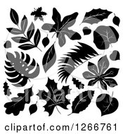 Clipart Of Black And White Leaves Royalty Free Vector Illustration
