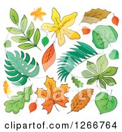 Poster, Art Print Of Autumn Leaves