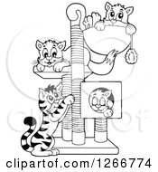 Poster, Art Print Of Four Black And White Cats Playing And Resting On A Tree