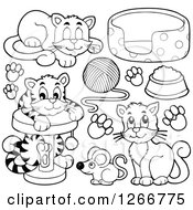 Poster, Art Print Of Black And White Cats Toys And Food
