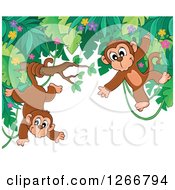 Poster, Art Print Of Border Of Jungle Foliage With Playful Monkeys