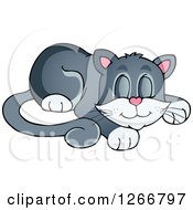 Clipart Of A Gray And White Happy Cat Napping Royalty Free Vector Illustration