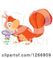 Poster, Art Print Of Cute Orange Squirrel Looking At A Flower Through A Magnifying Glass