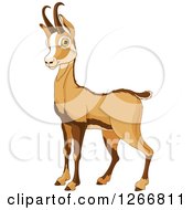 Poster, Art Print Of Cute Alert Rupicapra Antelope Chamois