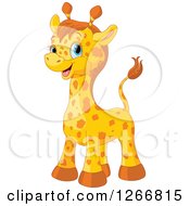 Poster, Art Print Of Cute Happy Blue Eyed Baby Giraffe