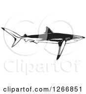 Poster, Art Print Of Black And White Shark Swimming In Profile