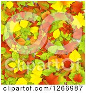 Poster, Art Print Of Background Of Colorful Autumn Leaves