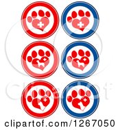 Poster, Art Print Of Red Blue And White Circles Of Heart Shaped Paw Prints Dogs And Veterinary Crosses