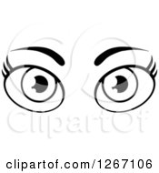 Poster, Art Print Of Black And White Pair Of Female Eyes And Brows