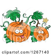 Poster, Art Print Of Goofy And Happy Halloween Pumpkins On The Vine