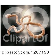 Clipart Of A 3d Model Of The Ebola Virus Over Blur Royalty Free Illustration