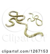 Clipart Of A 3d Model Of The Ebola Virus On White Royalty Free Illustration by Mopic