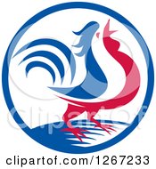 Poster, Art Print Of Red White And Blue Rooster Crowing In A Circle