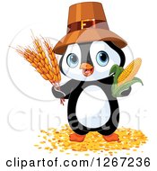 Poster, Art Print Of Cute Thanksgiving Pilgrim Penguin With Harvest Wheat And Corn