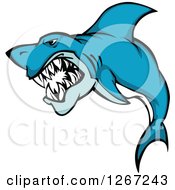 Poster, Art Print Of Vicious Attacking Blue And White Shark