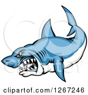 Mad Vicious Blue And White Shark