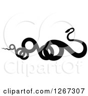 Clipart Of A Black And White Curly Snake Royalty Free Vector Illustration
