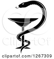 Black And White Snake And Medical Goblet Caduceus